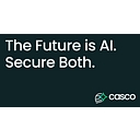 Casco logo