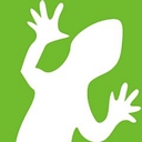 Lizardsystems logo