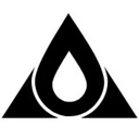 Triangle Water Damage logo