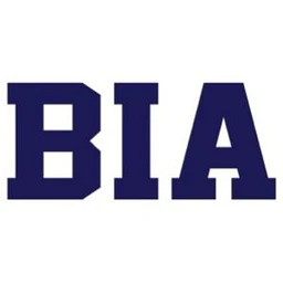 bostoninstituteofanalytics.org favicon