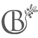 Olive Branch Counseling logo