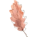 The Oaks at Flower Mound logo
