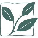 Pacific Outdoor Living logo