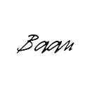 Baan Velgen logo
