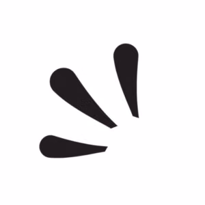 ohsnapsocial.com favicon