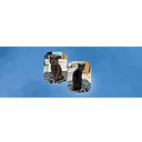 North Paw Animal Hospital logo