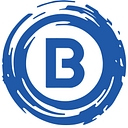 Blue Onyx Systems logo