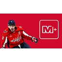 Monumental+ logo