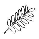 Farmer's Shed logo