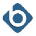 Banyon Data logo