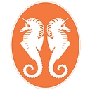 Rare Violins of New York logo