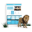 Saleslion logo