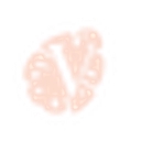 Makaio Naturals logo