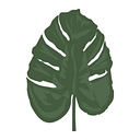 BLK + GRN logo