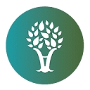 Alive Functional Wellness logo