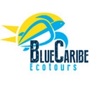 Blue Caribe Tours logo
