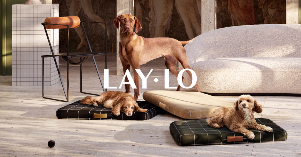 laylopets.com favicon