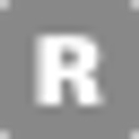 R Ray Guitars logo