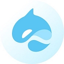 Surf logo