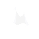 Texas Tent logo