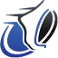 Foot & Ankle Sports Medicine Institute logo
