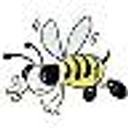 DFW Bug logo