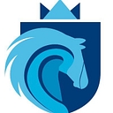 Stallion Market Research logo