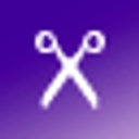 Salon Dexterity logo