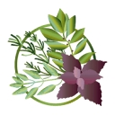 Word of Mouth Foods logo