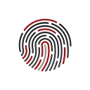 FraudPractice logo