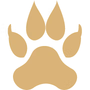 coingabbar.com favicon