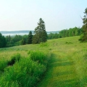 Rolling Meadows Retreat logo