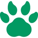 Cash Loans Bear logo