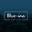 Blue Inc. Capital logo