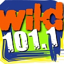 Wild 101 logo