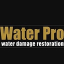 Water Pro, Inc. logo