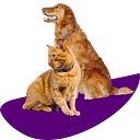 Country View Veterinary Hospital logo
