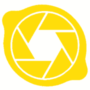 Lemoncams logo