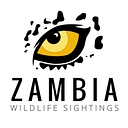 Zambia logo