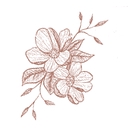 Enchanting Engagements logo