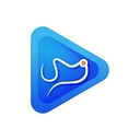 Wayvida logo
