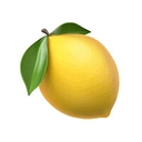 Citrus logo