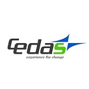 Cedas International logo