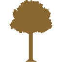 SouthPark Funeral Home & Cemetery logo