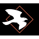 FalconSnap logo