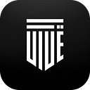 Vive Auto Detailing logo