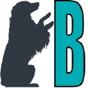 Blue Dog Training & Behavior logo