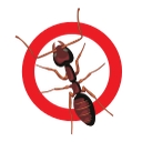 AMA Pest Control & Wildlife Control logo