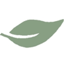 DFW Center for OCD & Anxiety logo