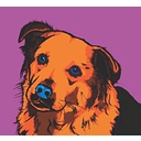 Zsa Zsa's Unique Boutique logo